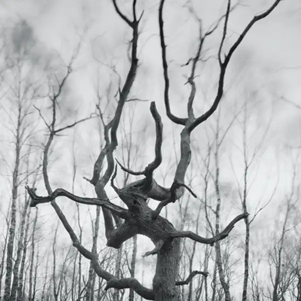 Dead Souls