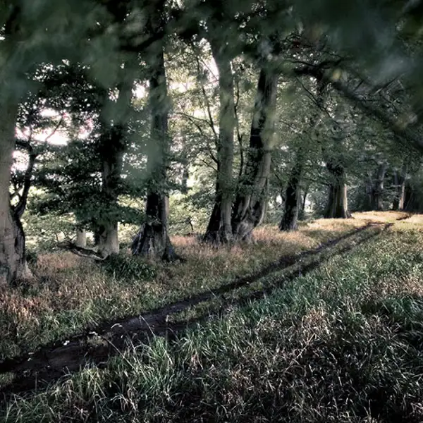 Untitled (1) (9) (1) (3)