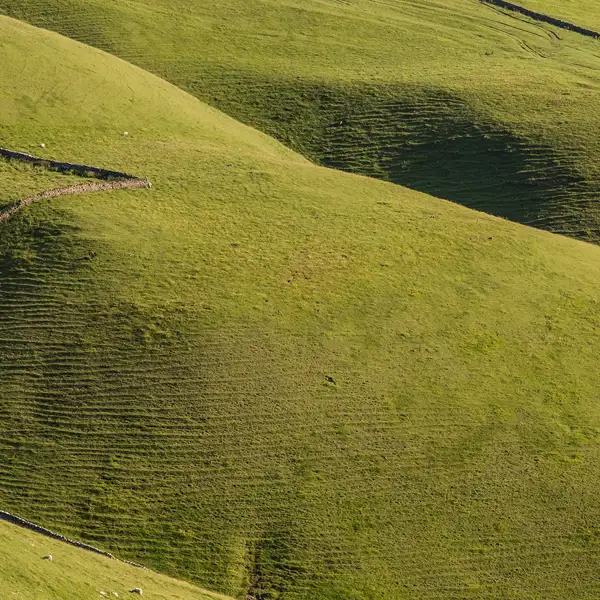 Green valley