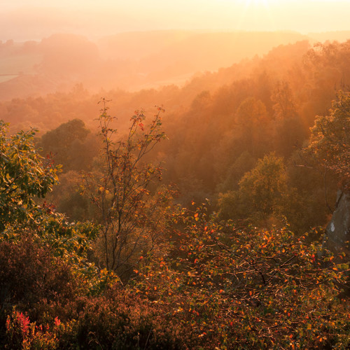 October Light: 