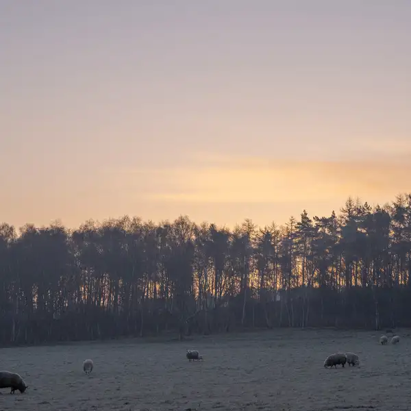 Cold March morning