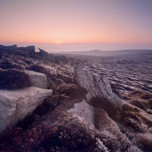 Moorland dawn: Moorland dawn