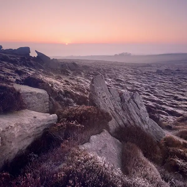 Moorland dawn