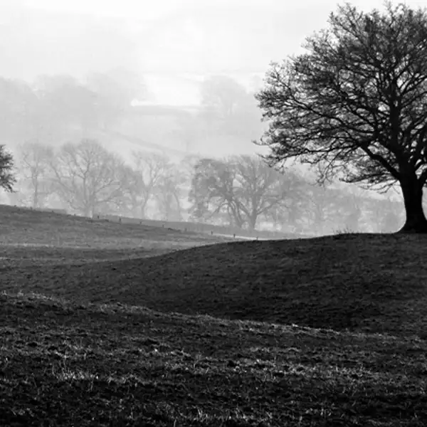 Misty morning, Gouthwaite