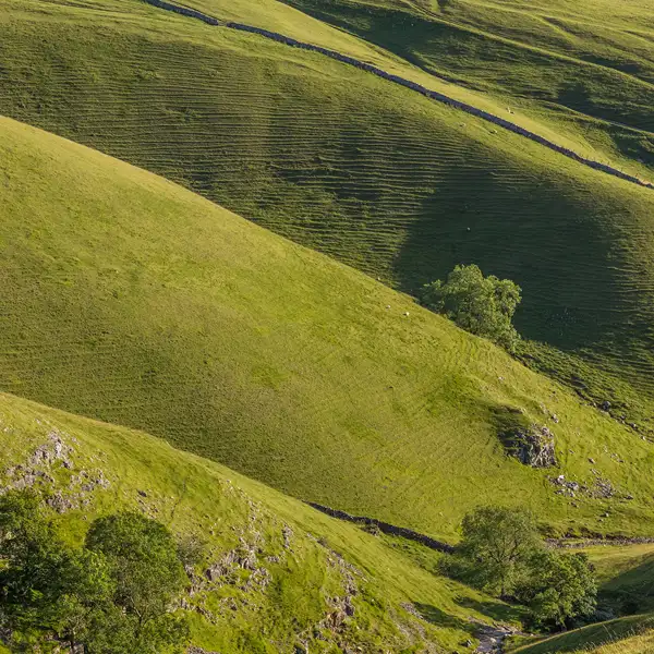 Green valley