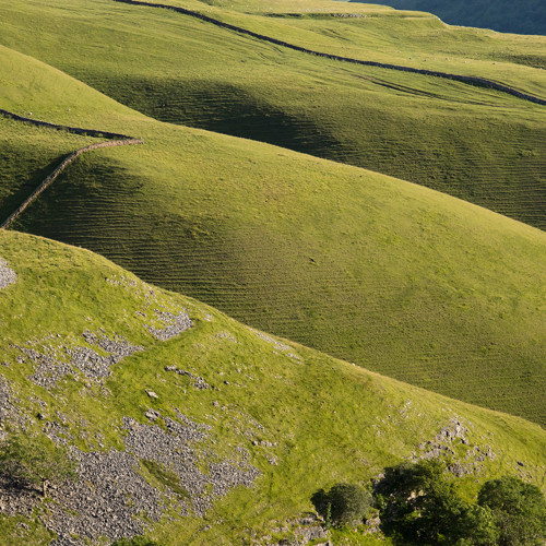 Green valley: 