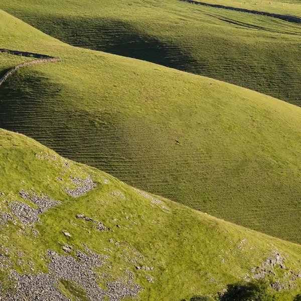Green valley