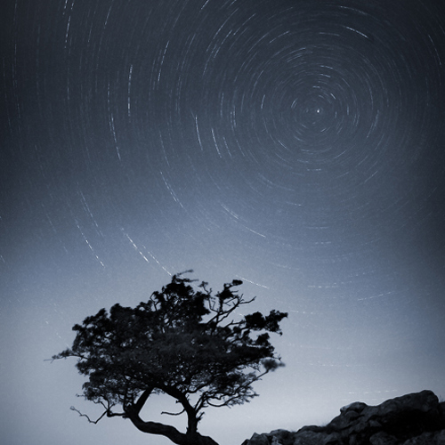 Lift your head to face the stars: Lift your head to face the stars