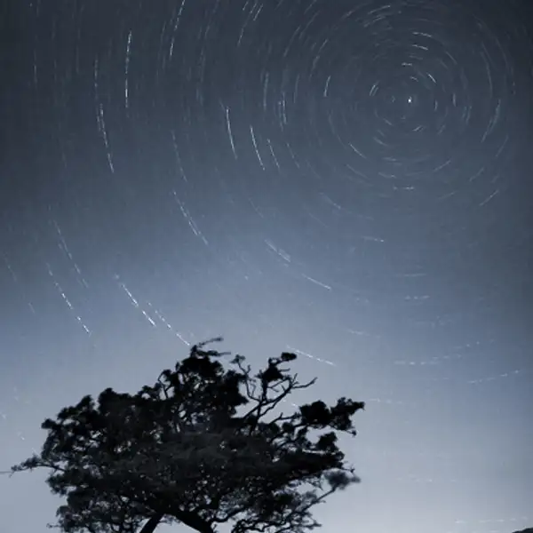 Lift your head to face the stars