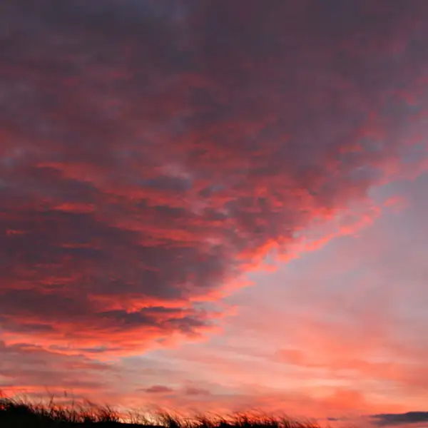 Scarasta Bay at dawn