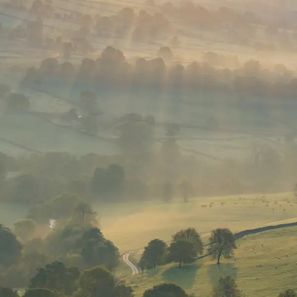 Sunbeams through early morning mist