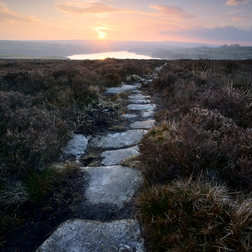 Hanging Moor: Hanging Moor
