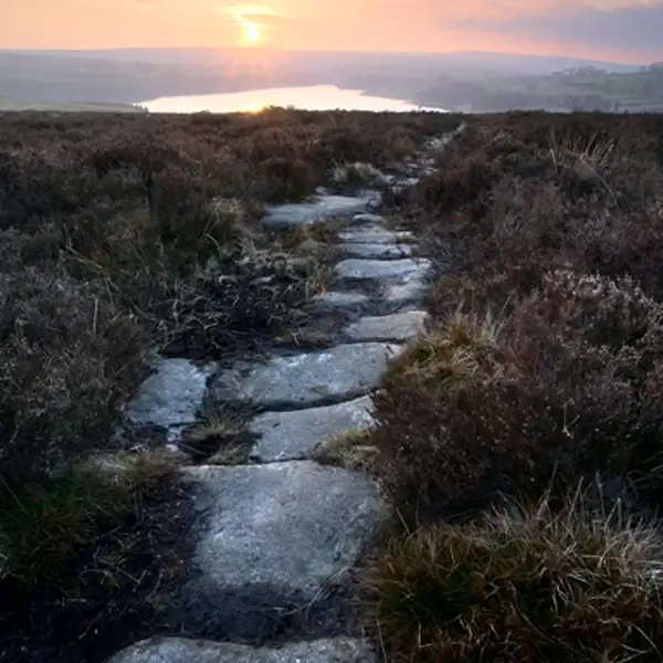 Hanging Moor