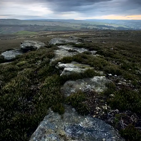 Moorland landscape