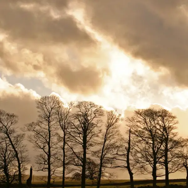 Evening sun, Fewston