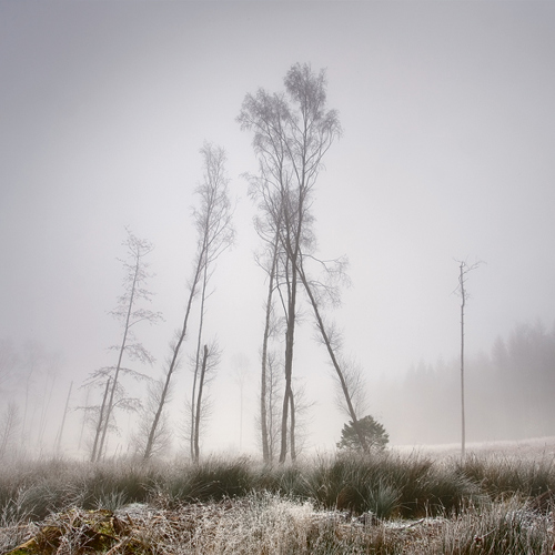 Winters Grip: Winters Grip
