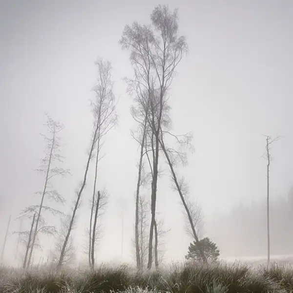 Winters Grip