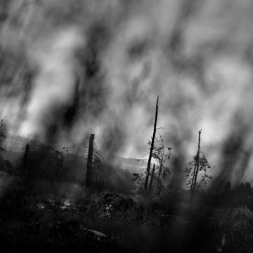 Untitled (1) (5) (1): Untitled