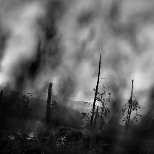Untitled (1) (5) (1)