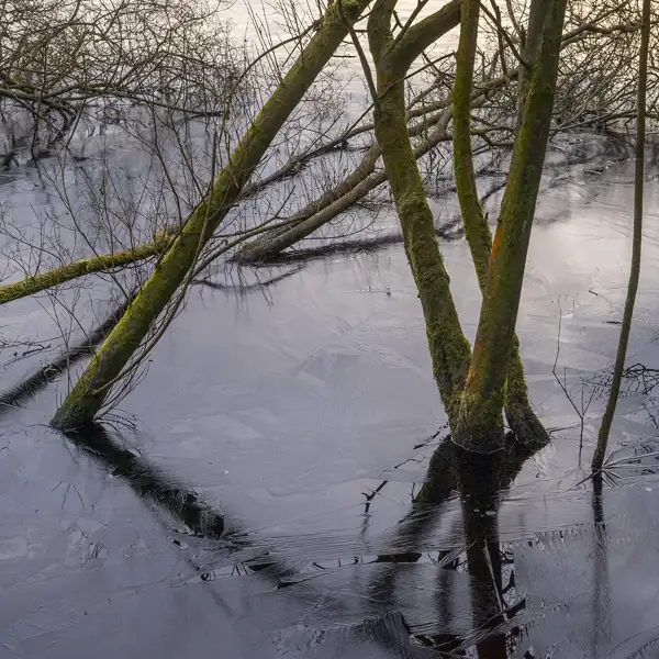 Thruscross ice
