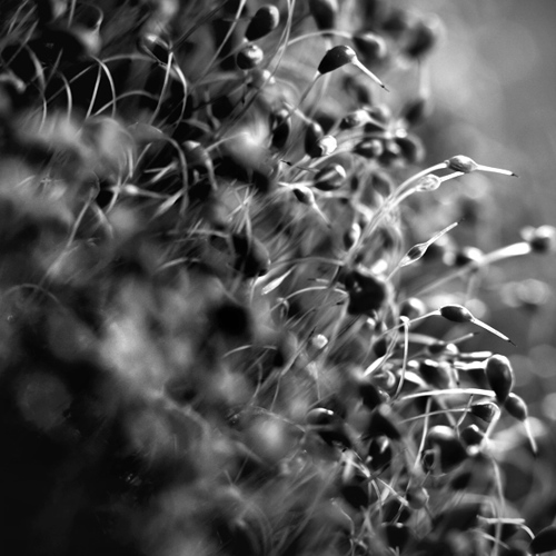 untitled (1) (4): untitled