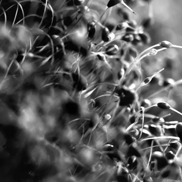 untitled (1) (4)
