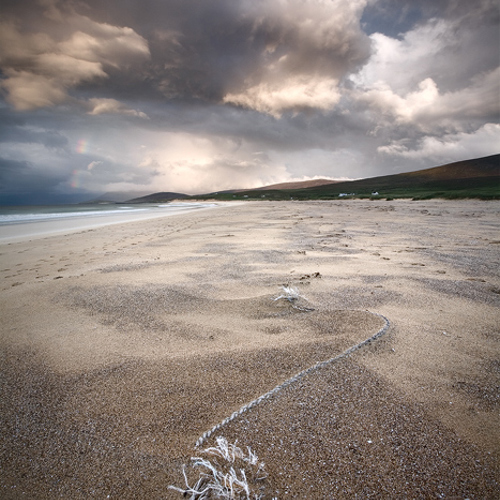 Untitled Seascape 6: Untitled Seascape 6
