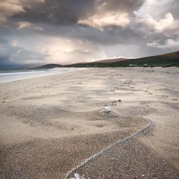 Untitled Seascape 6