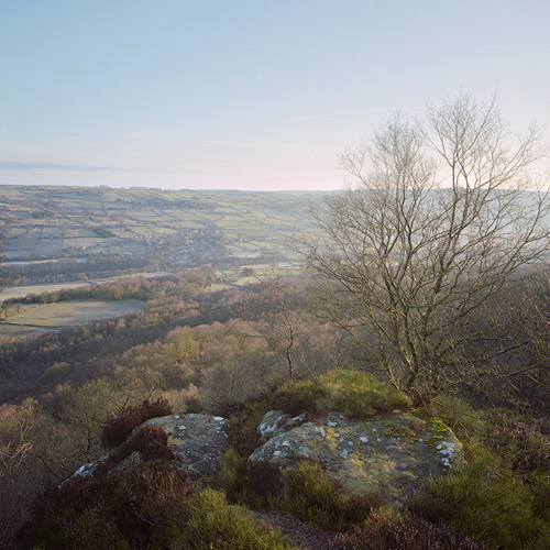 Early Spring: Early Spring