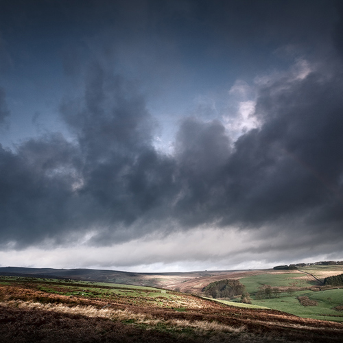 Rocking Moor, near Thruscross: Rocking Moor, near Thruscross