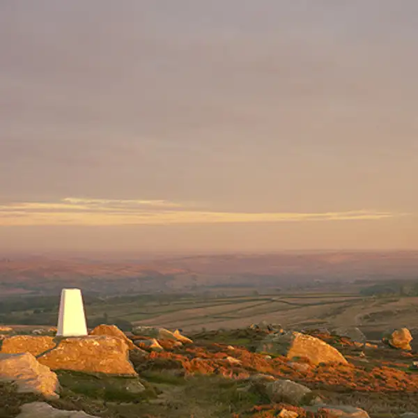 Golden light on moorland