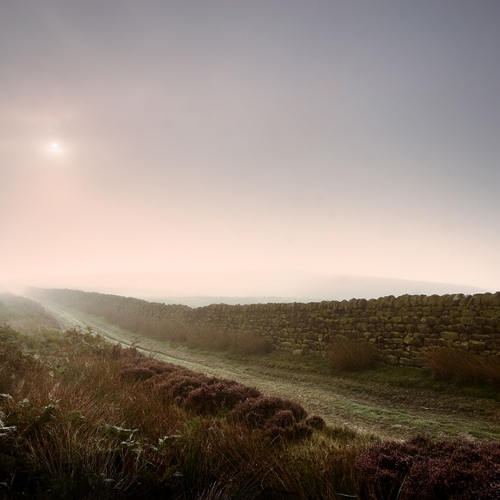 Hall Moor, Blubberhouses: Hall Moor, Blubberhouses