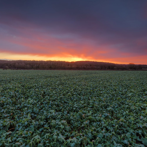 Vivid Winter sunrise: 