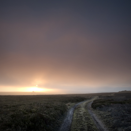 moorland track: moorland track