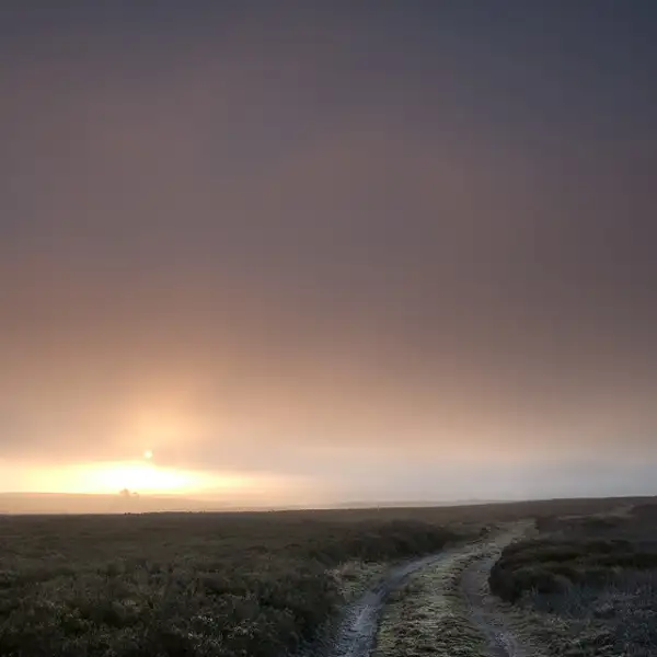 moorland track
