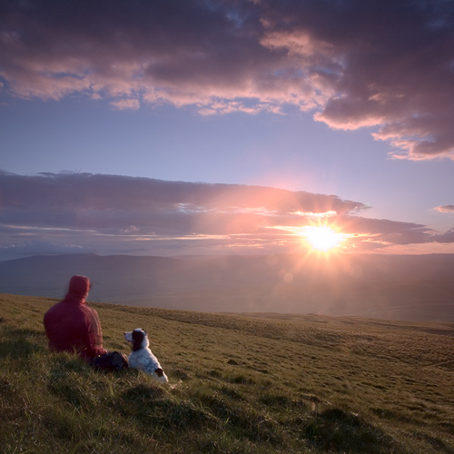 Evening light: Evening light