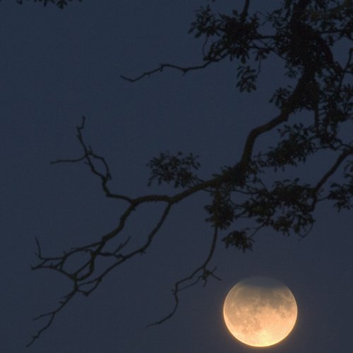 Partial eclipse of the moon, Blubberhouses: Partial eclipse of the moon, Blubberhouses