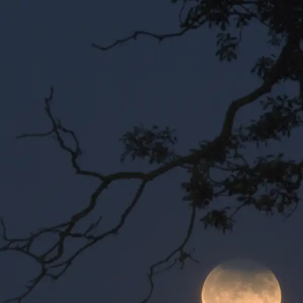 Partial eclipse of the moon, Blubberhouses
